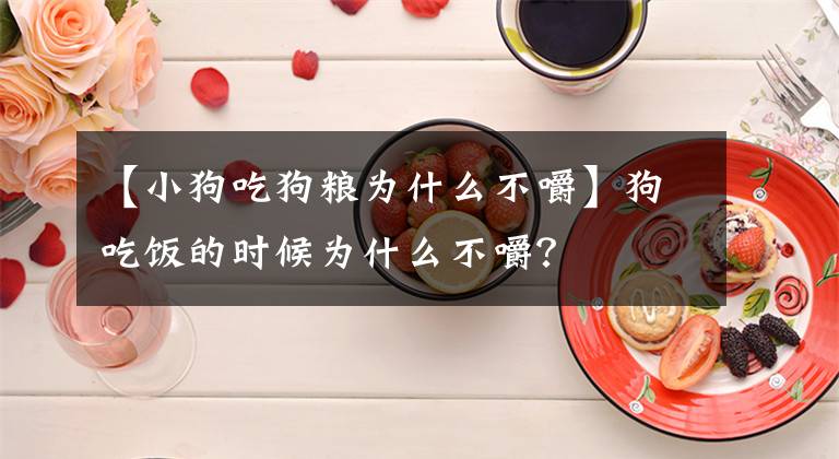 【小狗吃狗粮为什么不嚼】狗吃饭的时候为什么不嚼？