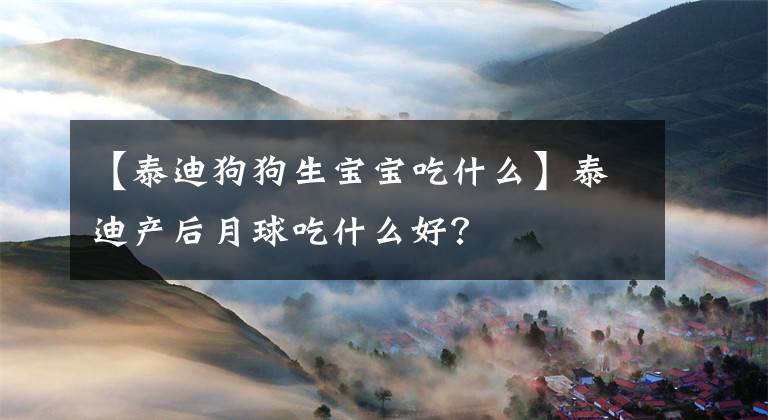 【泰迪狗狗生宝宝吃什么】泰迪产后月球吃什么好？