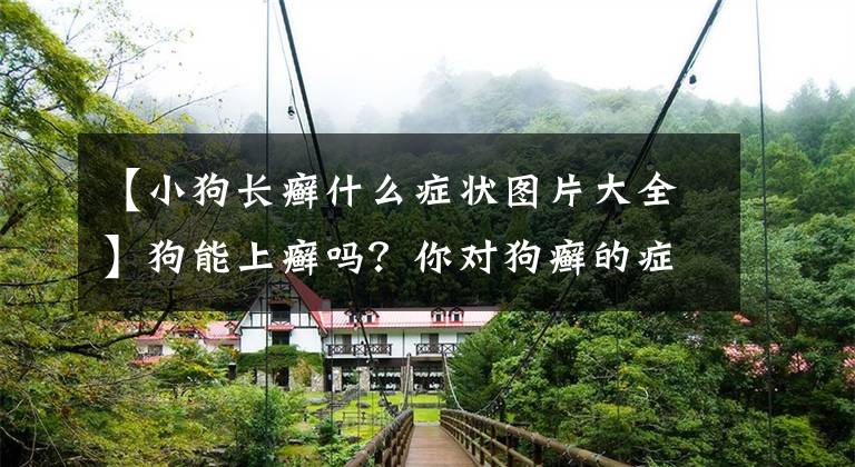 【小狗长癣什么症状图片大全】狗能上癣吗？你对狗癣的症状和治疗知道多少？文章配图