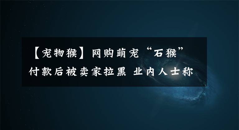 【宠物猴】网购萌宠“石猴”付款后被卖家拉黑 业内人士称国家不允许买卖猴