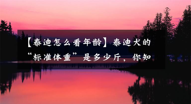 【泰迪怎么看年龄】泰迪犬的“标准体重”是多少斤，你知道吗？