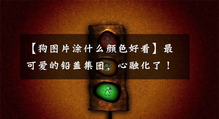 【狗图片涂什么颜色好看】最可爱的铅盖集团，心融化了！文章配图