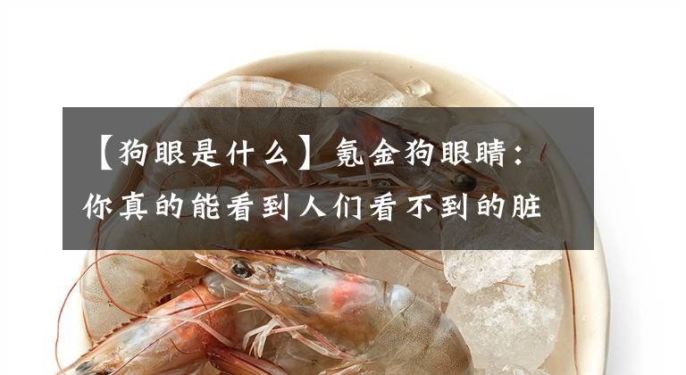 【狗眼是什么】氪金狗眼睛：你真的能看到人们看不到的脏东西吗？为什么半夜狗对着空气狂吠？文章配图