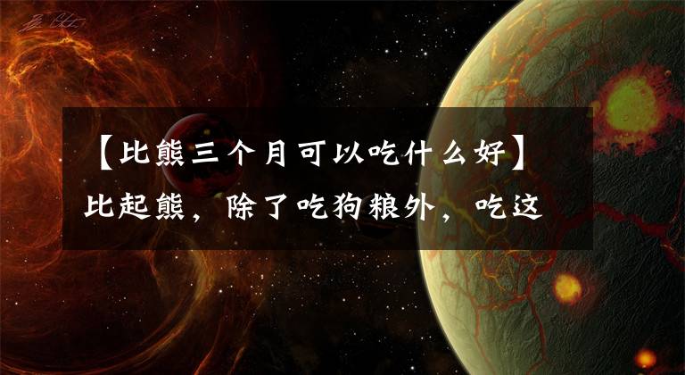 【比熊三个月可以吃什么好】比起熊，除了吃狗粮外，吃这6种食物还能健康美貌文章配图