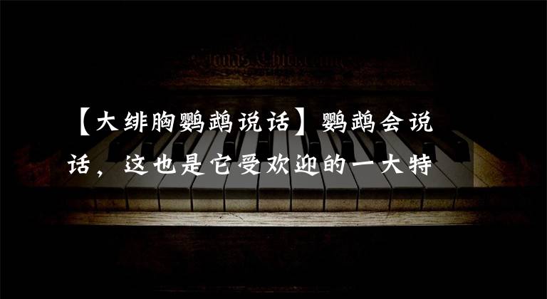 【大绯胸鹦鹉说话】鹦鹉会说话，这也是它受欢迎的一大特色，哪种鹦鹉说话能力强