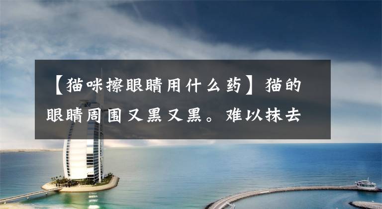 【猫咪擦眼睛用什么药】猫的眼睛周围又黑又黑。难以抹去。文章配图