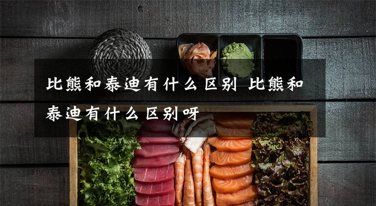比熊和泰迪有什么区别 比熊和泰迪有什么区别呀文章配图