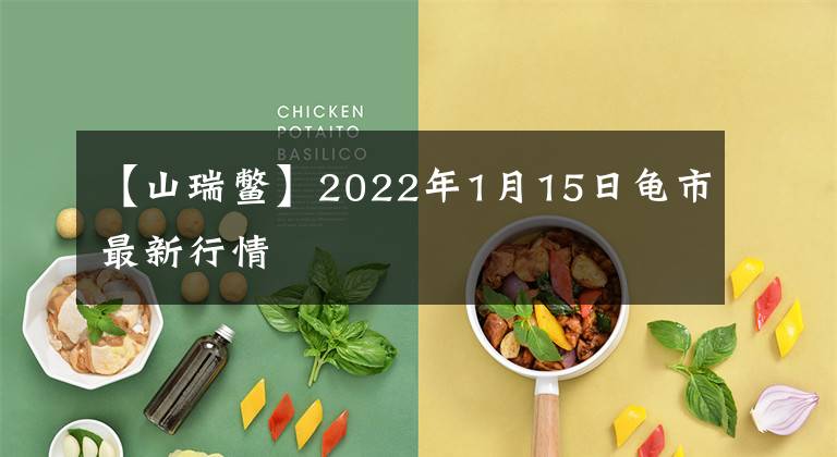 【山瑞鳖】2022年1月15日龟市最新行情