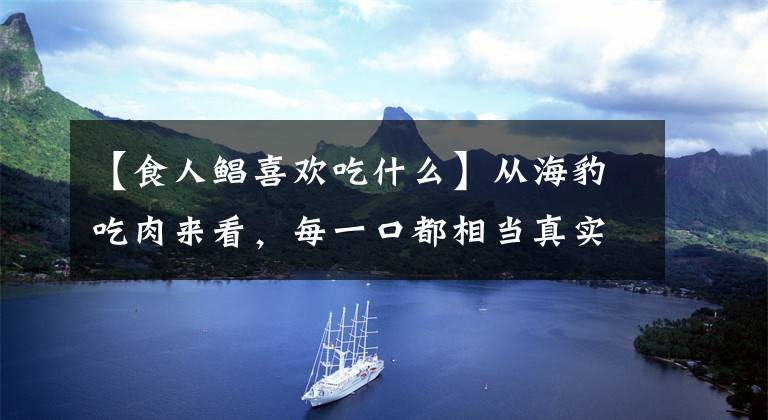 【食人鲳喜欢吃什么】从海豹吃肉来看，每一口都相当真实