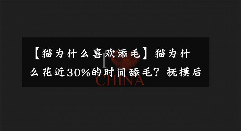 【猫为什么喜欢添毛】猫为什么花近30%的时间舔毛？抚摸后舔毛你不讨厌脏吗？文章配图