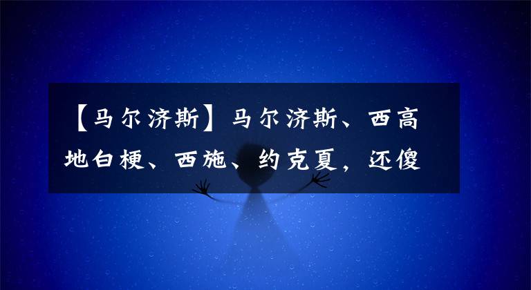 【马尔济斯】马尔济斯、西高地白梗、西施、约克夏，还傻傻分不清楚？