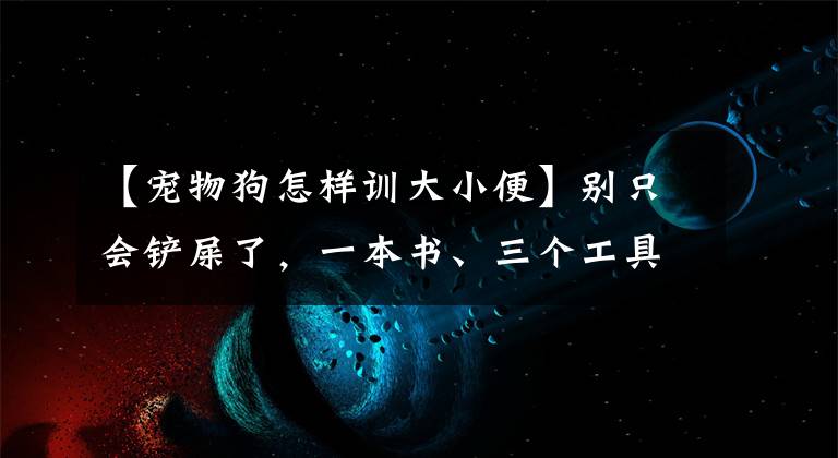 【宠物狗怎样训大小便】别只会铲屎了，一本书、三个工具，手把手教你训练猫咪