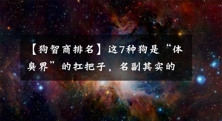 【狗智商排名】这7种狗是“体臭界”的扛把子，名副其实的“臭狗”