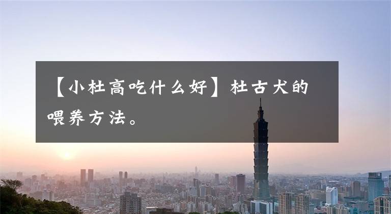【小杜高吃什么好】杜古犬的喂养方法。文章配图