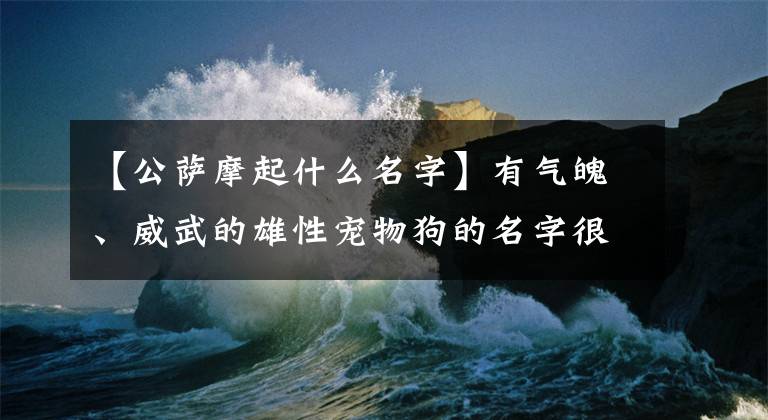 【公萨摩起什么名字】有气魄、威武的雄性宠物狗的名字很帅，很有魅力-可爱的地方文章配图