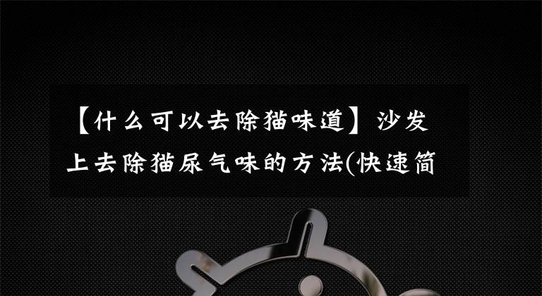 【什么可以去除猫味道】沙发上去除猫尿气味的方法(快速简单的三种方法)文章配图