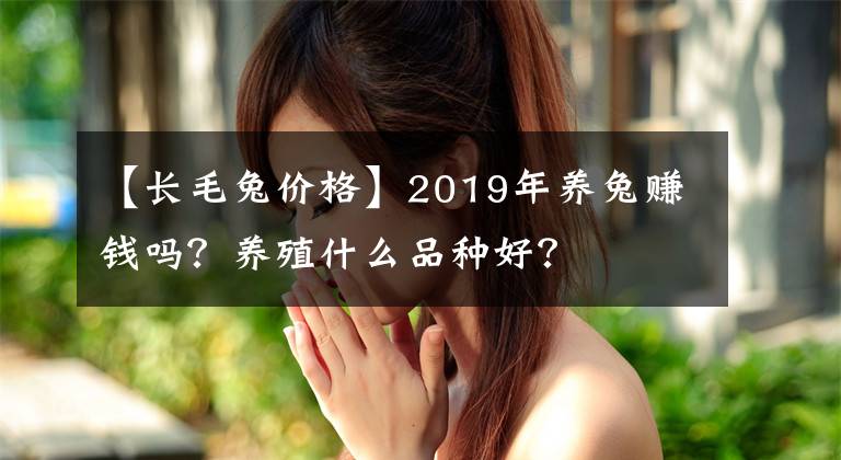 【长毛兔价格】2019年养兔赚钱吗？养殖什么品种好？