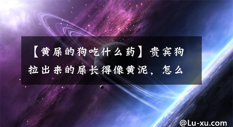 【黄屎的狗吃什么药】贵宾狗拉出来的屎长得像黄泥，怎么调？文章配图