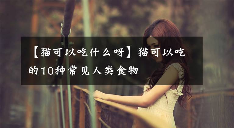 【猫可以吃什么呀】猫可以吃的10种常见人类食物文章配图