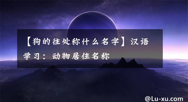 【狗的往处称什么名字】汉语学习：动物居住名称