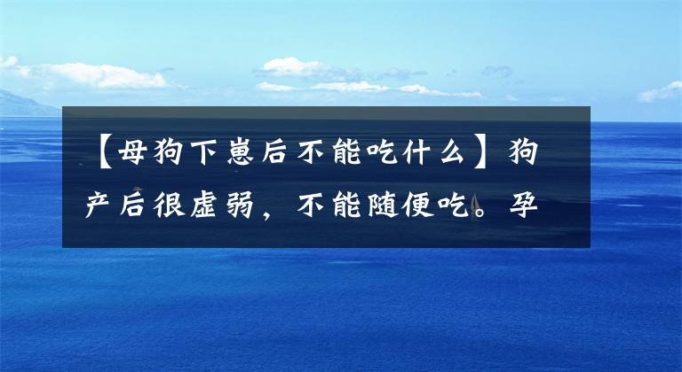 【母狗下崽后不能吃什么】狗产后很虚弱，不能随便吃。孕期要补钙！文章配图