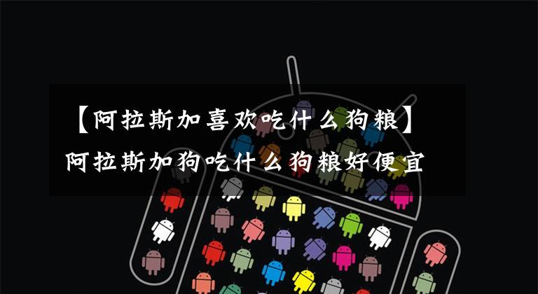 【阿拉斯加喜欢吃什么狗粮】阿拉斯加狗吃什么狗粮好便宜？文章配图
