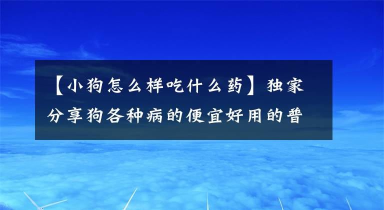 【小狗怎么样吃什么药】独家分享狗各种病的便宜好用的普通药。