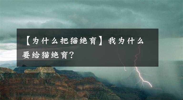【为什么把猫绝育】我为什么要给猫绝育？文章配图