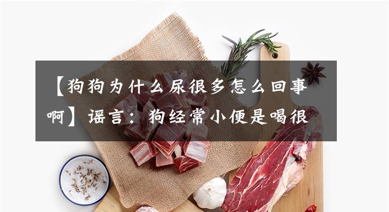 【狗狗为什么尿很多怎么回事啊】谣言：狗经常小便是喝很多水吗？尿频也可能是药物和这种疾病引起的。文章配图