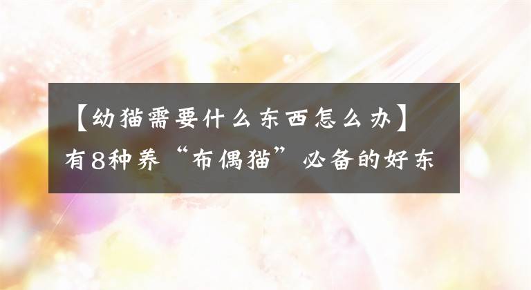 【幼猫需要什么东西怎么办】有8种养“布偶猫”必备的好东西，新手养猫一定要看。文章配图