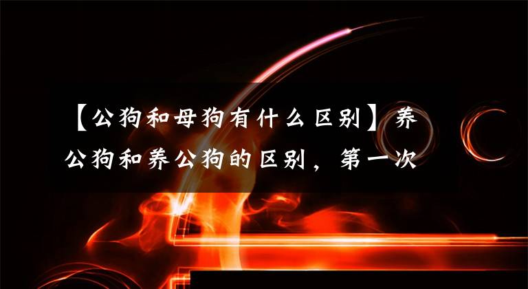【公狗和母狗有什么区别】养公狗和养公狗的区别，第一次养狗的人，不要选错了！文章配图