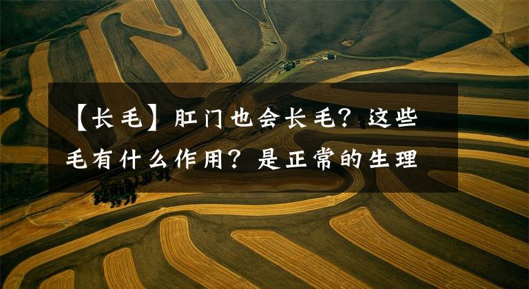 【长毛】肛门也会长毛？这些毛有什么作用？是正常的生理现象吗？一文解惑