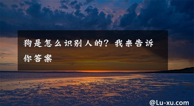 狗是怎么识别人的？我来告诉你答案文章配图