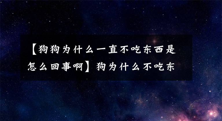 【狗狗为什么一直不吃东西是怎么回事啊】狗为什么不吃东西？