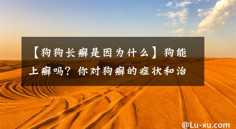 【狗狗长癣是因为什么】狗能上癣吗？你对狗癣的症状和治疗知道多少？文章配图