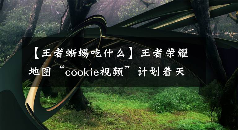 【王者蜥蜴吃什么】王者荣耀地图“cookie视频”计划着天美用英雄武器制造的峡谷文章配图