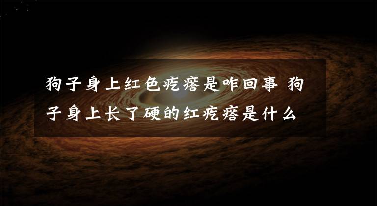 狗子身上红色疙瘩是咋回事 狗子身上长了硬的红疙瘩是什么文章配图