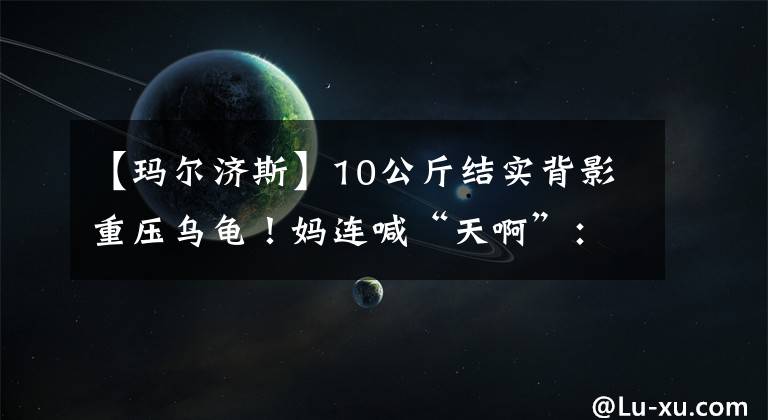 【玛尔济斯】10公斤结实背影重压乌龟！妈连喊“天啊”：它快喘不过气