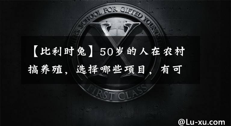 【比利时兔】50岁的人在农村搞养殖，选择哪些项目，有可能一年收入20万以上？