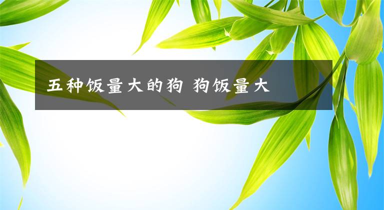 五种饭量大的狗 狗饭量大文章配图