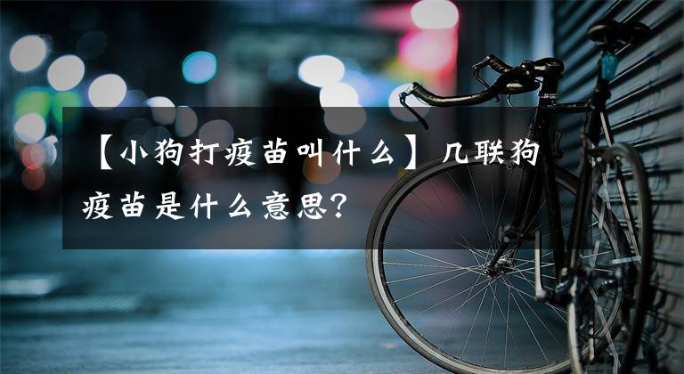 【小狗打疫苗叫什么】几联狗疫苗是什么意思？