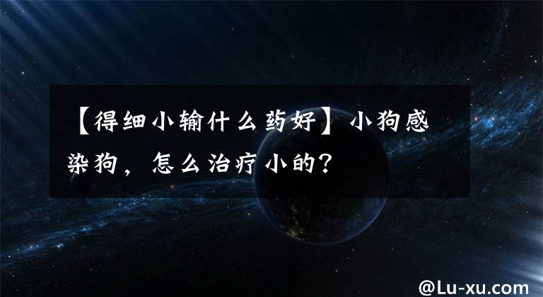 【得细小输什么药好】小狗感染狗，怎么治疗小的？