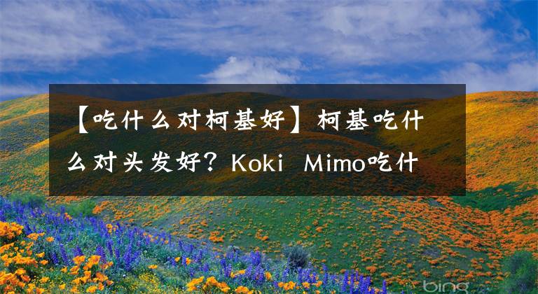 【吃什么对柯基好】柯基吃什么对头发好？Koki Mimo吃什么好？文章配图