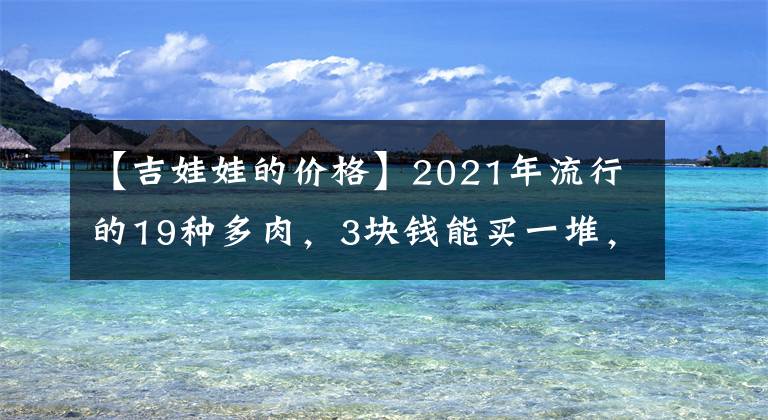 【吉娃娃的价格】2021年流行的19种多肉，3块钱能买一堆，种土里明年“小崽爆盆”