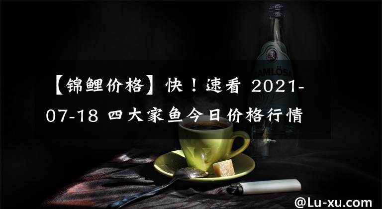 【锦鲤价格】快！速看 2021-07-18 四大家鱼今日价格行情