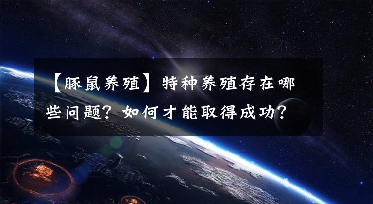 【豚鼠养殖】特种养殖存在哪些问题？如何才能取得成功？