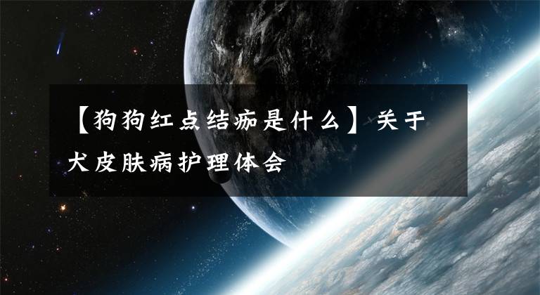【狗狗红点结痂是什么】关于犬皮肤病护理体会文章配图
