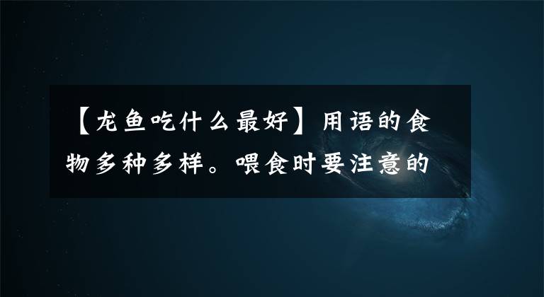 【龙鱼吃什么最好】用语的食物多种多样。喂食时要注意的问题是什么？文章配图