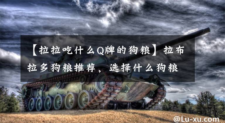 【拉拉吃什么Q牌的狗粮】拉布拉多狗粮推荐，选择什么狗粮品牌比较好？文章配图