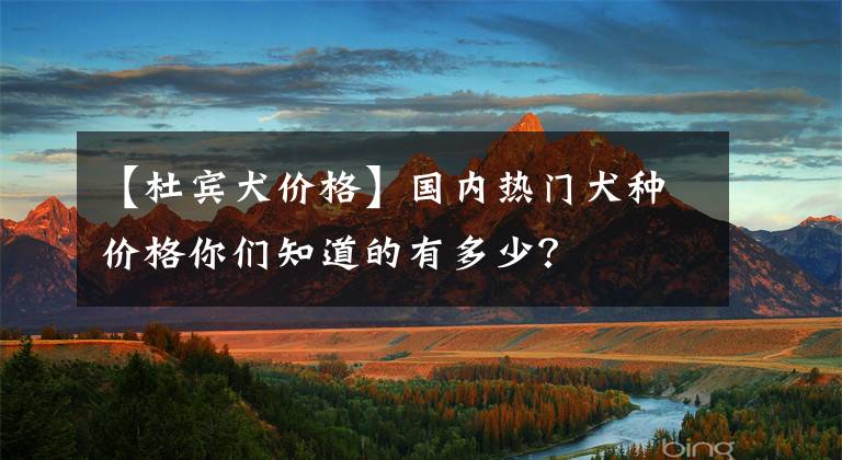 【杜宾犬价格】国内热门犬种价格你们知道的有多少？